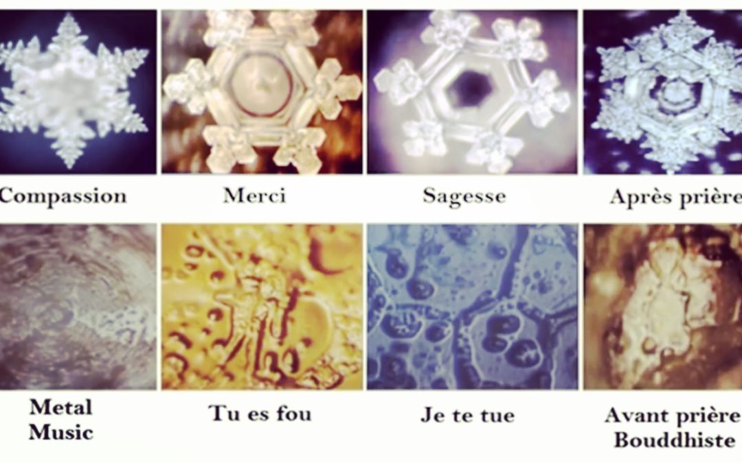 TRANSMUTEZ LES EMOTIONS NEGATIVES A AUBAGNE