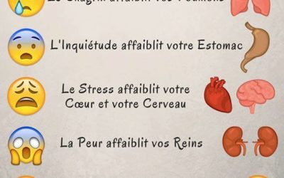 DEVENEZ MAITRE DE VOS EMOTIONS