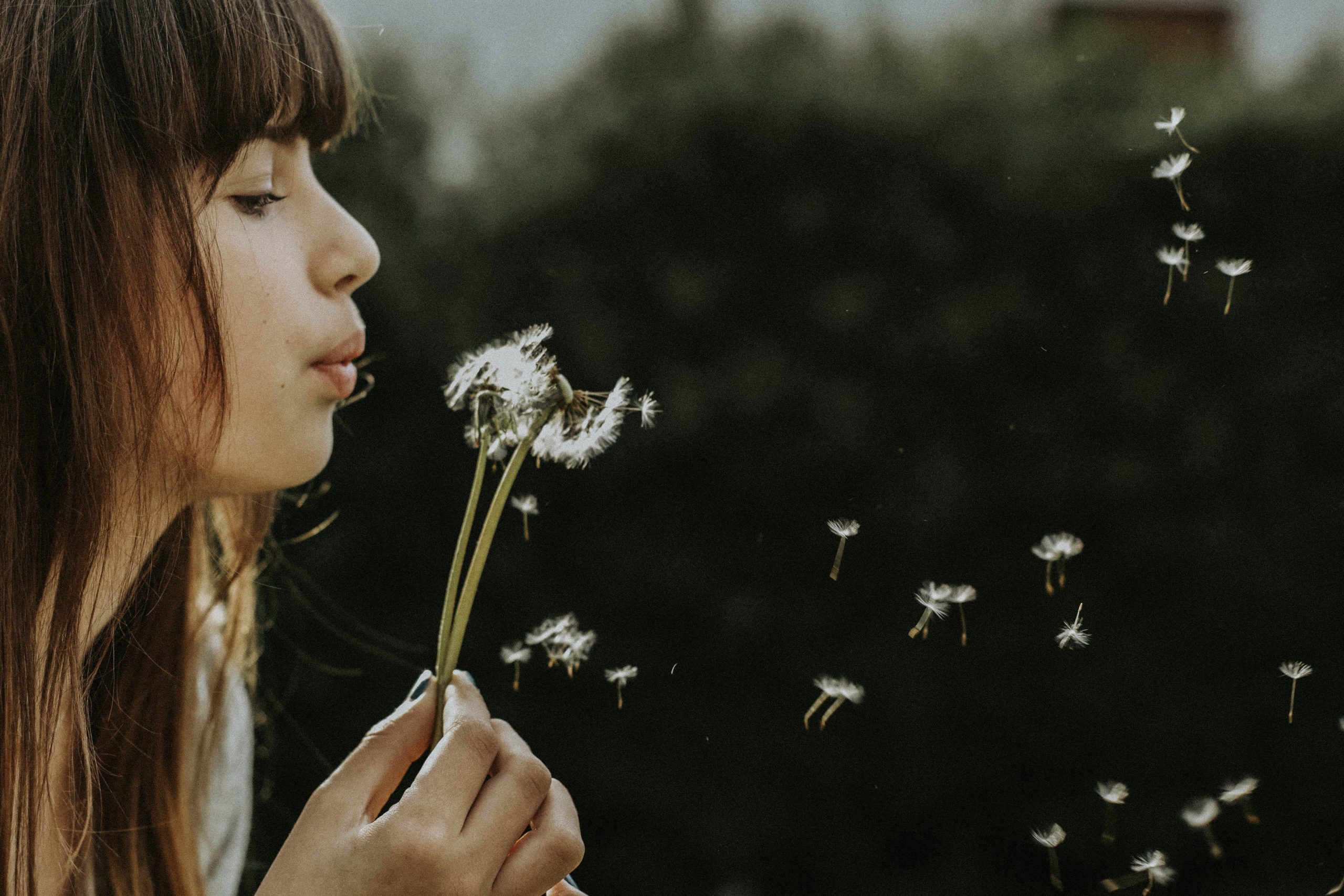 Blog bien-être émotionnel
