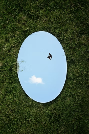 LE MIROIR : CE QUE JE VOIS, M’AGACE EN L’AUTRE EST UN MESSAGE SUR MOI. Aubagne